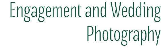 Engagement and Wedding Photography
